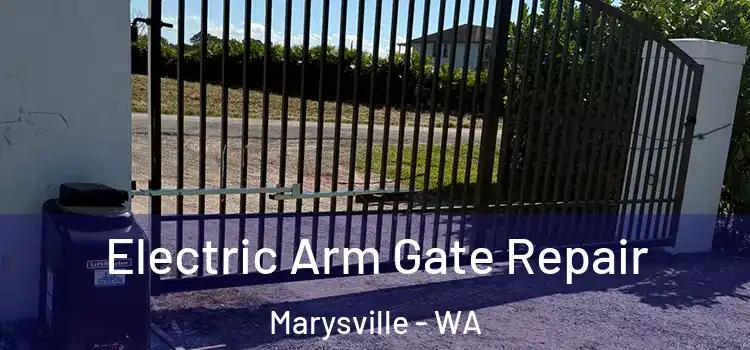 Electric Arm Gate Repair Marysville - WA