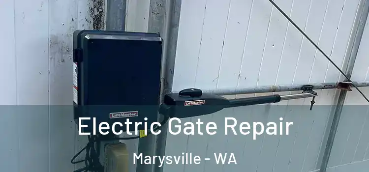 Electric Gate Repair Marysville - WA