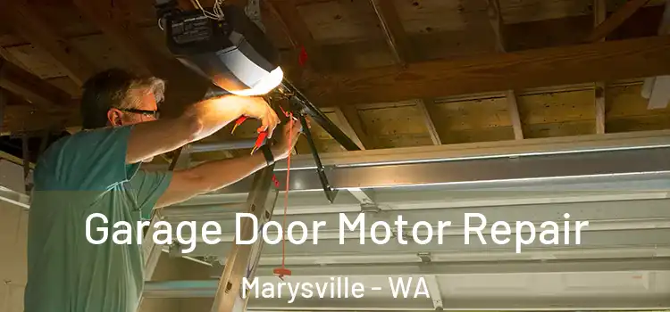  Garage Door Motor Repair Marysville - WA