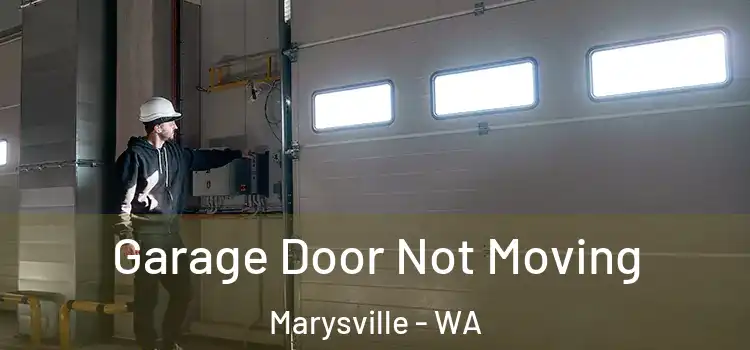  Garage Door Not Moving Marysville - WA