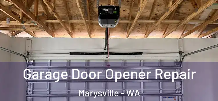  Garage Door Opener Repair Marysville - WA