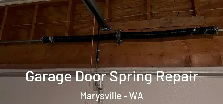  Garage Door Spring Repair Marysville - WA