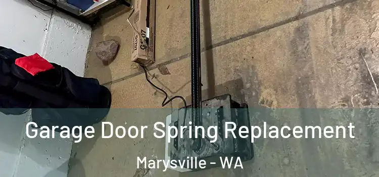  Garage Door Spring Replacement Marysville - WA
